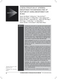 Characterization of cerebral aneurysms for assessing risk of rupture by using aneurysms flow in DSA