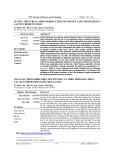 In-situ and in real time observation of particulate processes in lactic fermentation