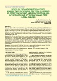 Study on the antagonistic activity against two pathogenic bacteria in humans of Streptomyces MIP_L26 isolated from soil in the root zone of the May Chang tree (Litsea cubeba)