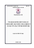 Luận án Tiến sĩ Y học: Ứng dụng đường mổ ít xâm lấn trong điều trị vi phẫu thuật bệnh lý co giật nửa mặt với nội soi hỗ trợ