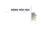 Bài giảng Động hóa học (67 trang)