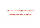 Bài giảng Các kháng sinh Quinolones (Chương trình Dược sĩ đại học)