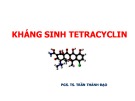 Bài giảng Kháng sinh Tetracyclin (34 trang)