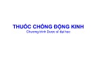 Bài giảng Thuốc chống động kinh (Chương trình Dược sĩ đại học)