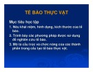 Bài giảng Tế bào thực vật (36 trang)