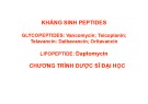 Bài giảng Kháng sinh Peptides (Chương trình Dược sĩ đại học)