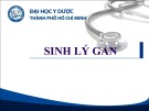 Bài giảng Sinh lý gan