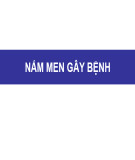 Bài giảng Nấm men gây bệnh