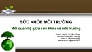 Bài giảng Sức khỏe môi trường: Mối quan hệ giữa sức khỏe và môi trường - Ths. Lê Huỳnh Thị Cẩm Hồng