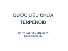 Bài giảng Dược liệu chứa Terpenoid - GS. TS. Nguyễn Minh Đức