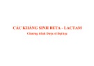 Bài giảng Các kháng sinh beta - lactam (Chương trình Dược sĩ đại học)