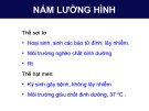 Bài giảng Nấm lưỡng hình