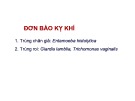 Bài giảng Đơn bào kỵ khí