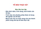 Bài giảng Tế bào thực vật (35 trang)