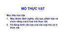 Bài giảng Mô thực vật