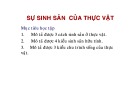 Bài giảng Sự sinh sản của thực vật