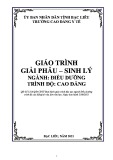 Giáo trình Giải phẫu sinh lý (Ngành: Điều dưỡng - Cao đẳng) - Trường Cao đẳng Y tế Bạc Liêu