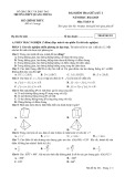 Đề thi giữa học kì 1 môn Toán lớp 11 năm 2024-2025 có đáp án - Trường THPT Quang Trung, Gia Lai