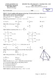 Đề thi giữa học kì 1 môn Toán lớp 11 năm 2024-2025 có đáp án - Trường THPT Ngô Quyền, Đồng Nai