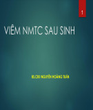 Bài giảng Viêm nội mạc tử cung sau sinh - BS.CKII Nguyễn Hoàng Tuấn