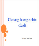 Bài giảng Các sang thương cơ bản của da - TS.BS. Võ Thành Liêm