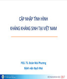 Bài giảng Cập nhật tình hình kháng kháng sinh tại Việt Nam - PGS.TS Đoàn Mai Phương