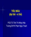 Bài giảng Tiểu máu (đại thể - vi thể) - PGS.TS. Trần Thị Mộng Hiệp