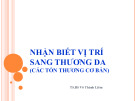 Bài giảng Nhận biết vị trí sang thương da (các tổn thương cơ bản) - TS.BS Võ Thành Liêm