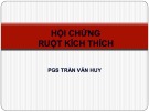 Bài giảng Hội chứng ruột kích thích - PGS. Trần Văn Huy