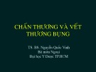 Bài giảng Chấn thương và vết thương bụng - TS. BS. Nguyễn Quốc Vinh