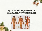 Bài giảng Vị trí và tác dụng điều trị của các huyệt thông dụng