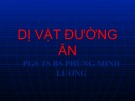 Bài giảng Dị vật đường ăn - PGS. TS. BS. Phùng Minh Lương