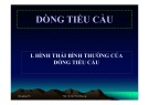 Bài giảng Dòng tiểu cầu - ThS. Hà Nữ Thùy Dương