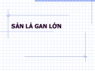 Bài giảng Sán lá gan lớn - ThS Lê Minh Tân