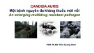 Bài giảng Candida auris một bệnh nguyên đa kháng thuốc mới nổi - PGS.TS.BS Trần Quang Bính