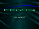 Bài giảng Ung thư vòm mũi họng - PGS. TS. BS. Phùng Minh Lương