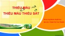 Bài giảng Thiếu máu, thiếu máu thiếu sắt - BS CK1. Phan Thị Thu Trang