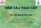 Bài giảng Viêm cầu thận cấp - ThS. Trần Nguyễn Như Uyên