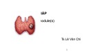 Bài giảng Nhân giáp - Ts. Lê Văn Chi