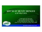 Bài giảng Sốt xuất huyết Dengue (cập nhật 2019) - TS. BS. Nguyễn Văn Vĩnh Châu