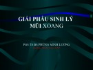 Bài giảng Giải phẫu sinh lý mũi xoang - PGS. TS. BS. Phùng Minh Lương