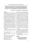 Đánh giá đáp ứng sau hóa trị tân hỗ trợ bằng phác đồ docetaxel, carboplatin và trastuzumab ở bệnh nhân ung thư vú có thụ thể Her2 dương tính giai đoạn II, III