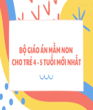 Giáo án Mầm non: Đếm đến 8, nhận biết các nhóm có 8 đối tượng, nhận biết số 8