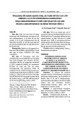 Tình hình đề kháng kháng sinh, sự phân bố của các lớp Ambler A, B, D của Pseudomonas aeruginosa sinh carbapenemase và mối liên quan với các gen mã hóa carbapenemase tại Bệnh viện Nhi Đồng 2