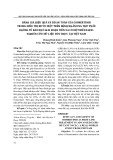 Đánh giá hiệu quả và độ an toàn của Osimertinib trong điều trị bước một trên bệnh nhân ung thư phổi không tế bào nhỏ giai đoạn tiến xa có đột biến EGFR: Nghiên cứu dữ liệu đời thực tại Việt Nam