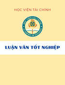 Luận văn tốt nghiệp: Kế toán bán hàng và xác định kết quả bán hàng tại Công ty Cổ phần Thuốc tốt Việt Nam