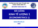 Bài giảng Kinh tế lượng 1: Chương 1 - Bùi Dương Hải (2022)