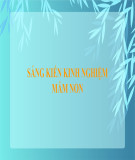 Sáng kiến kinh nghiệm Mầm non: Một số biện pháp giúp trẻ mẫu giáo 4 tuổi tham gia vui chơi tích cực trong hoạt động góc ở trường mầm non tại lớp mẫu giáo nhỡ 4 tuổi B2