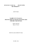 Tóm tắt Luận án Tiến sĩ Y học: Nghiên cứu ứng dụng phương pháp tán sỏi qua da đường hầm nhỏ điều trị sỏi thận