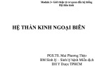 Bài giảng Hệ thần kinh ngoại biên - PGS.TS. Mai Phương Thảo